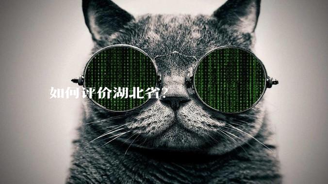 如何评价湖北省？